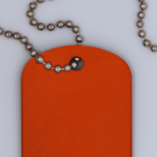 Dog Tag- Orange