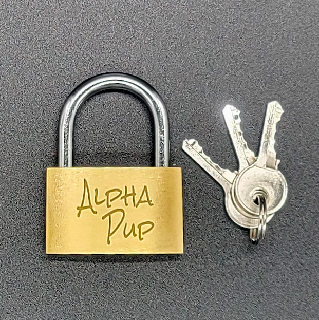 Alpha Pup Lock n' Chain